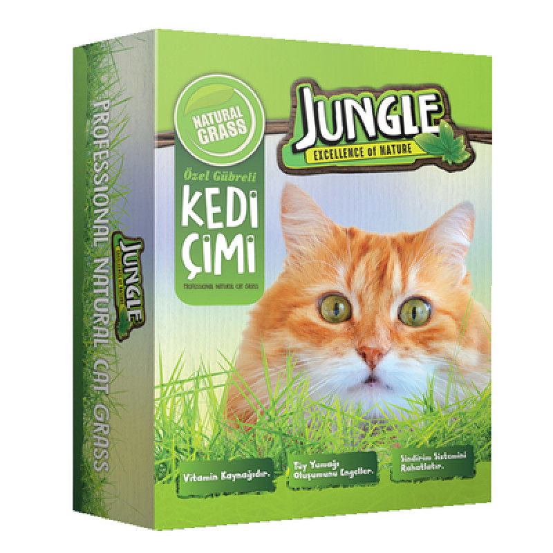Jungle Kedi Çimi Kutulu