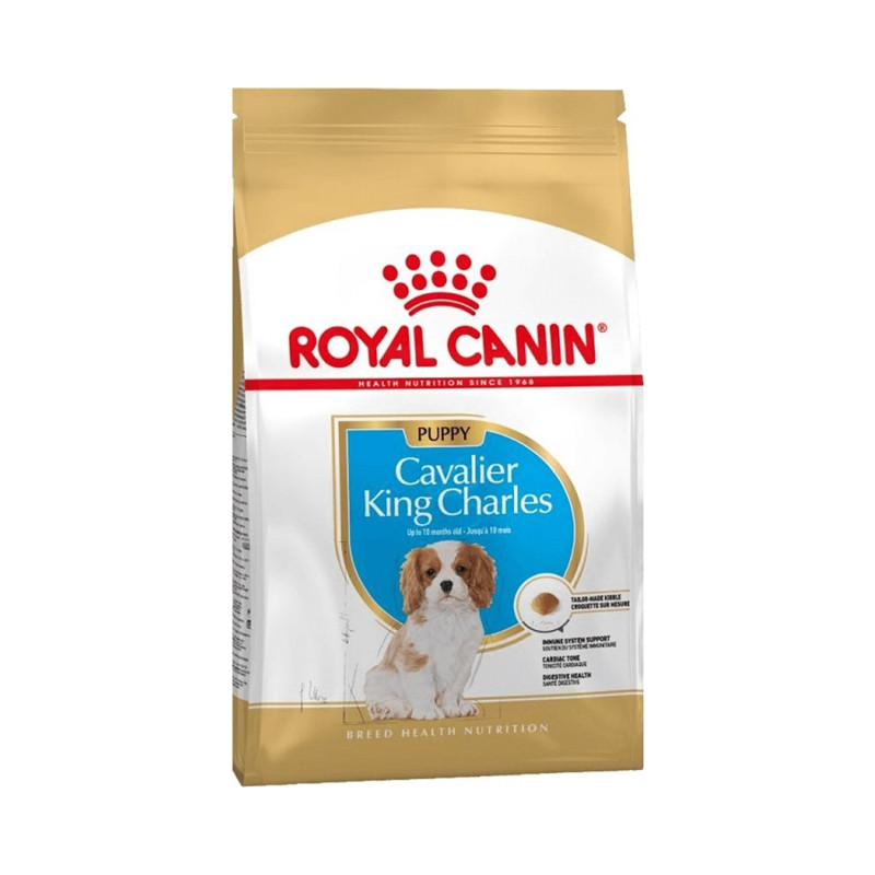 Royal Canin King Cavalier Puppy 1.5 Kg