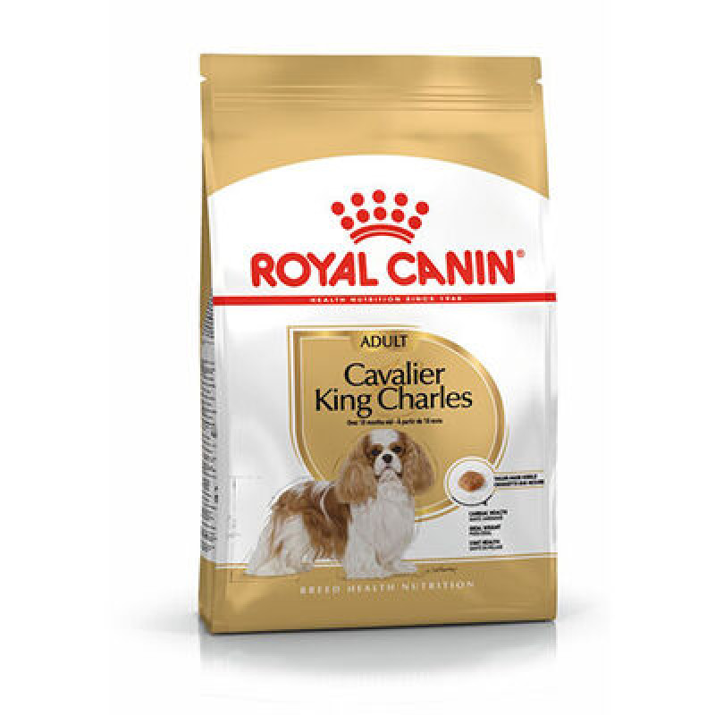 Royal Canin Cavalier King Adult Yetişkin Köpek Maması 3 Kg 